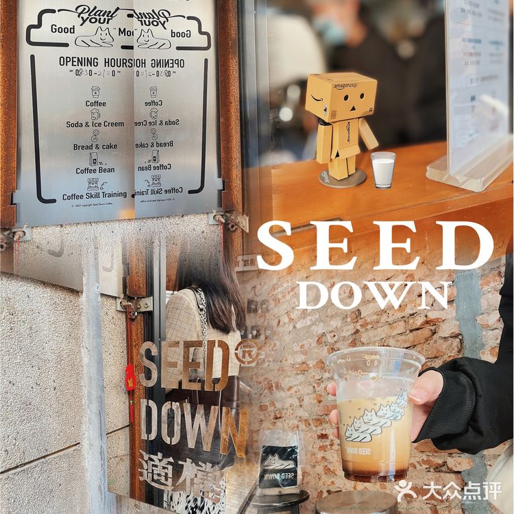 东山新晋打卡适档coffee SEED DOWN