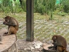 -西安秦岭野生动物园
