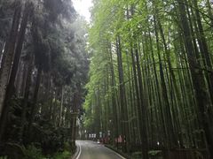 -山王坪喀斯特国家生态公园