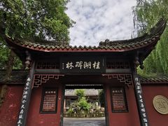 -桂湖森林公园