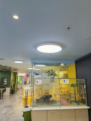 -神奇动物撸宠馆·羊驼·小浣熊·异宠(豫园店)