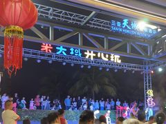 -渔家火锅·海鲜自助餐·演艺(亚龙湾天域酒店)