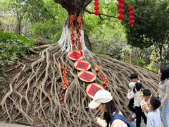 -三水森林公园