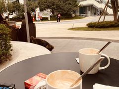 -星巴克臻选(南京艾尚天地店)