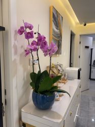 -海涛医疗美容·面部抗衰·注射美鼻