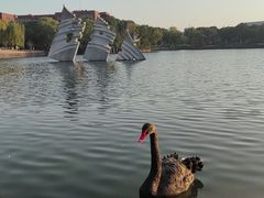 -上海交通大学闵行校区-包玉刚图书馆