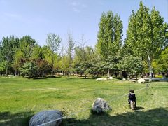 -回龙观体育文化公园