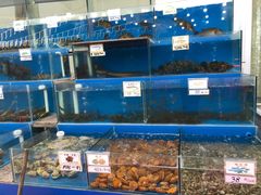 -秋姐美食店(旅游大道店)