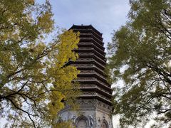 -玲珑塔公园