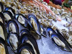 -广州凤凰城酒店-维也纳西餐厅