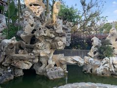 -呼吸森林·生态农庄农家乐私房菜