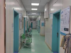 -北京观赏动物医院·24小时大型综合·猫专科·异宠专科