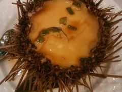 海胆-万宝海鲜舫(劳动公园店)