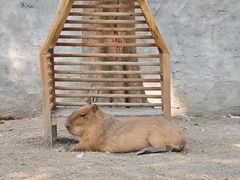 -成都欢乐谷