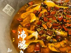 -沸腾鱼乡(知春路分店)