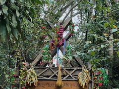 -西双版纳原始森林公园