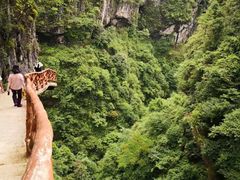 -鹿院坪生态旅游景区