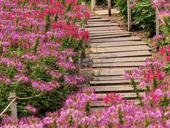 -沈阳植物园