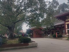 -庐山风景名胜区-东林大佛