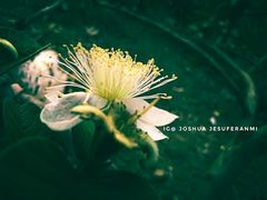 -维乐口腔医院(星海湾分院)