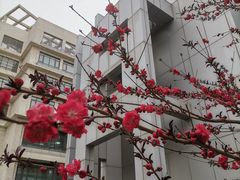 -复兴门(地铁站)