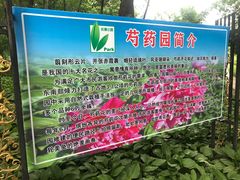 -长春公园(普阳街道)