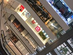 -老板恋上鱼(恒隆广场店)