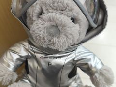 -小鹏汽车(上海静安大融城店)