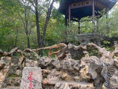 -本溪汤沟绿石谷森林公园