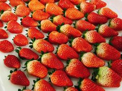 草莓-西郊国际农产品交易中心