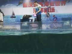 -重庆欢乐海底世界