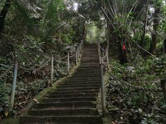 -七仙岭温泉国家森林公园