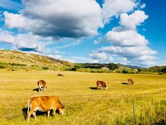 -塞罕坝国家级自然保护区