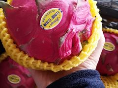 -东方鼎信农副产品交易中心