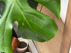 -SeekSeeking咖啡专门店(堰塘街店)