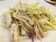 油泡鲜鱿-海宝酒家(中山四路店)