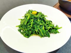 清炒豌豆尖-旺顺阁海鲜广场(亚运村店)