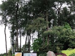 -铁山坪森林公园