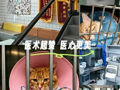-半岛宠物医院24小时(科华中路店)