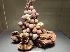 -大连自然博物馆