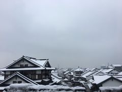 -淹城春秋乐园
