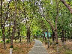 -大兴滨河森林公园