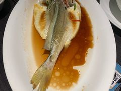 -鹊玥·粤菜小馆(汇智国际商业中心店)