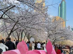 -珈境湖畔餐厅·湖北菜·江浙菜•樱花季(西北湖店)