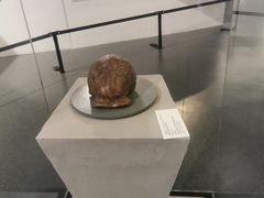 -北京周口店北京人遗址博物馆