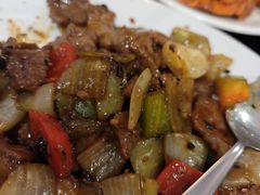 -食为先(Shark Fin)