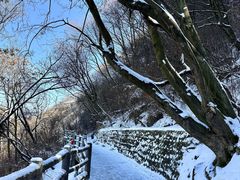 -少华山国家森林公园