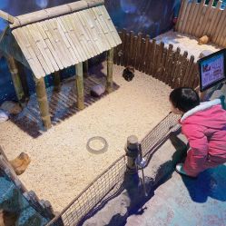 -酷嗒动物文化乐园(cutezoo西溪乐天城店)