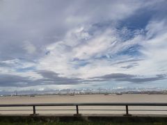 -大湾区中央湿地公园