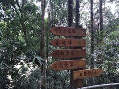 -千泷沟大瀑布旅游区